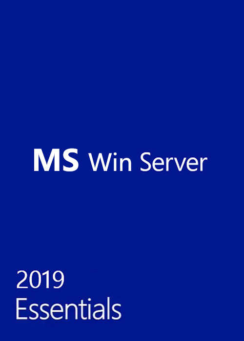 Win Server 19 Essentials Key Global